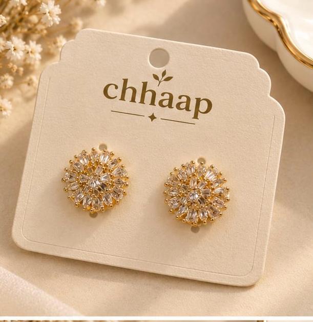 Earrings 14